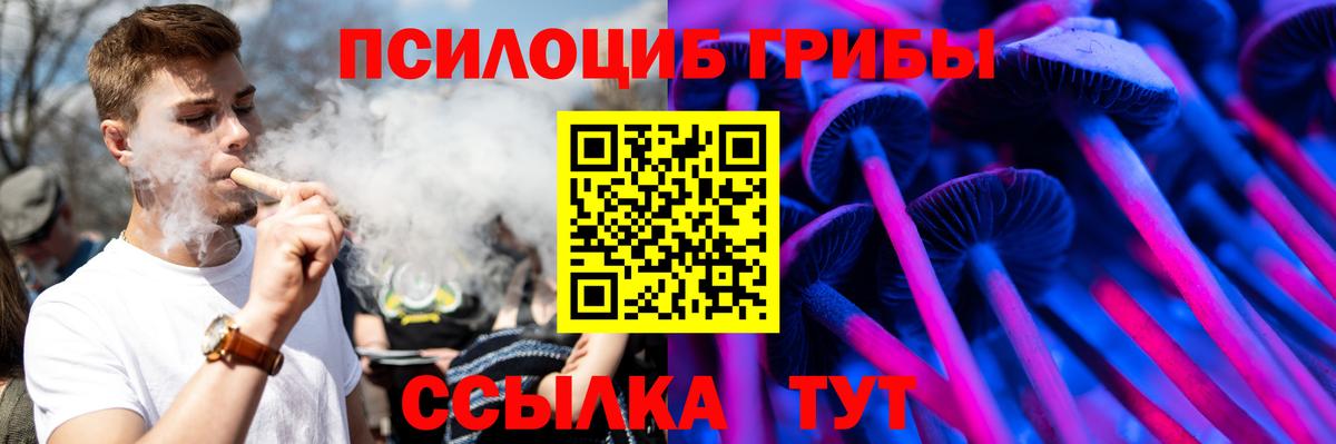 Псилоцибиновые грибы прущие грибы Орехово-Зуево